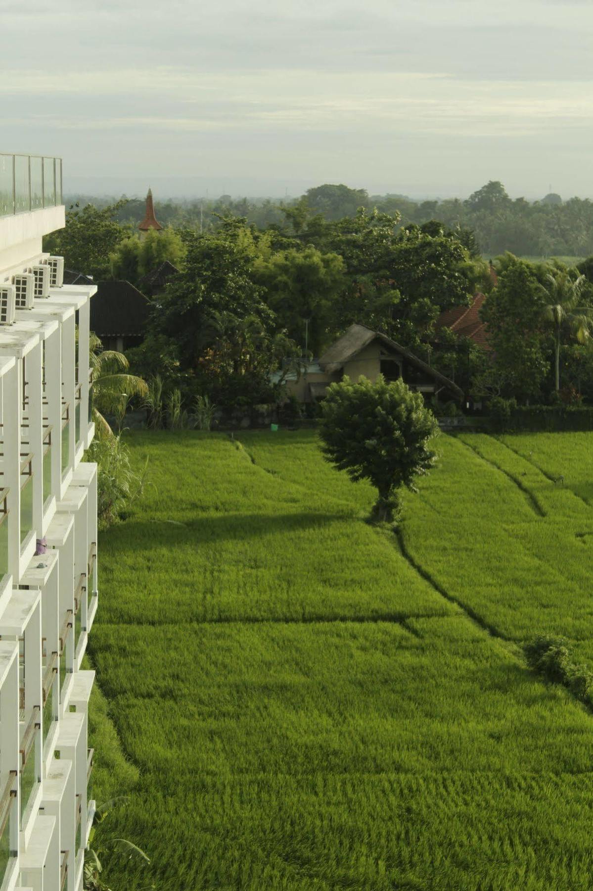 The Evitel Resort Ubud Exterior photo